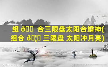 组 🐠 合三限盘太阳合婚神(组合 🦈 三限盘 太阳冲月亮)